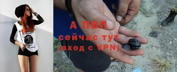 прущие крисы Осташков
