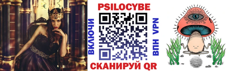 Купить где Судак Псилоцибиновые грибы Psilocybine cubensis
